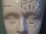 SX00036 Eyes of Phrenology head.jpg